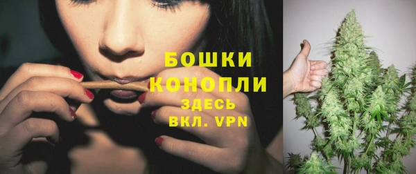 твердый Пересвет
