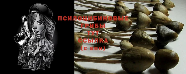 дурь Переславль-Залесский