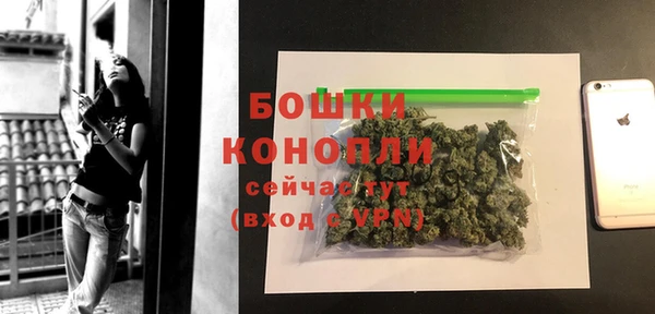 дурь Переславль-Залесский