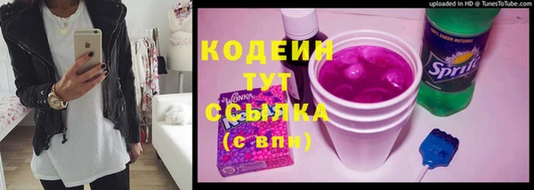 дурь Переславль-Залесский