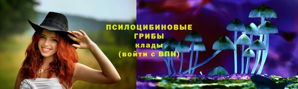 таблы Пестово
