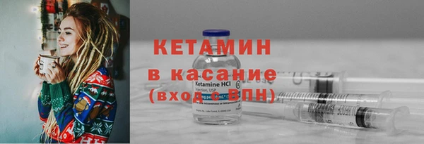 твердый Пересвет