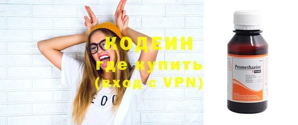 твердый Пересвет