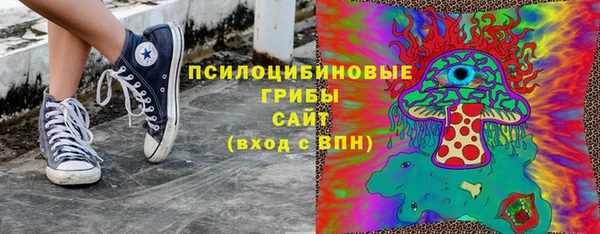 дурь Переславль-Залесский