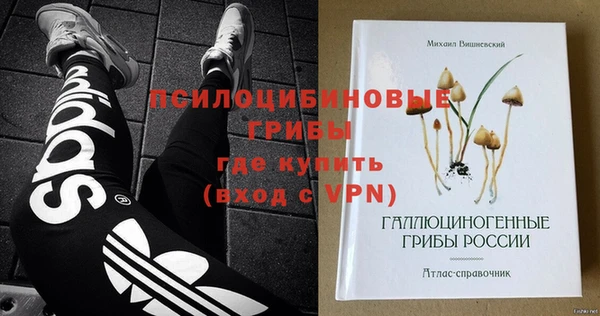 твердый Пересвет