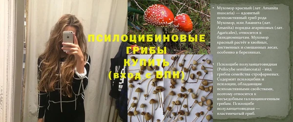 твердый Пересвет