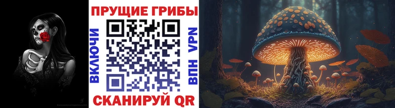 Галлюциногенные грибы Psilocybe  Анива 